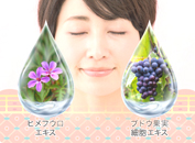 最新の美容成分